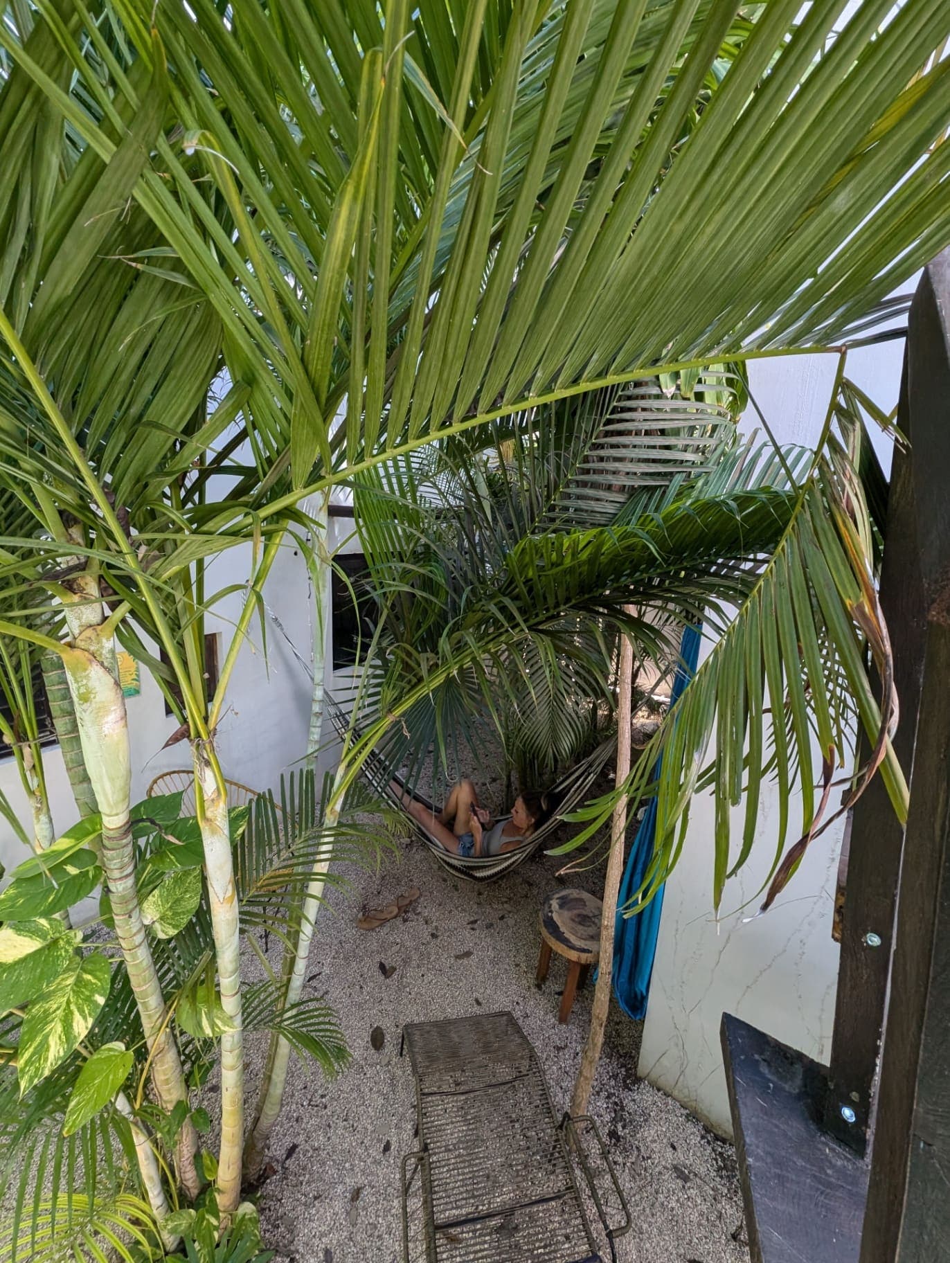 Hamaca bajo las palmas